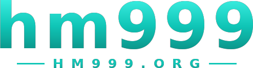 hm999 logo